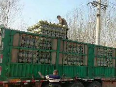 二.防護網(wǎng)系列：刺繩